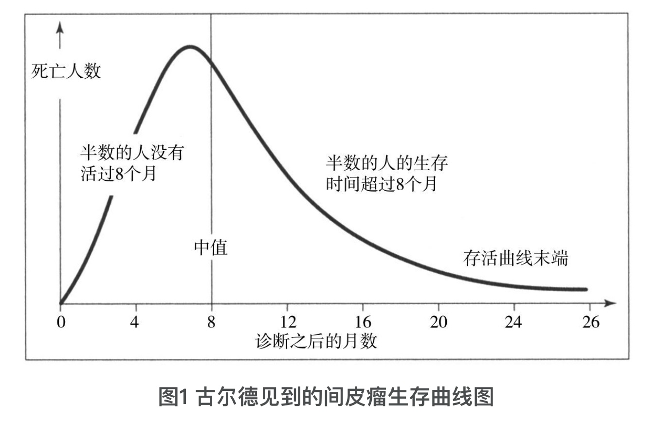 间皮瘤生存曲线图