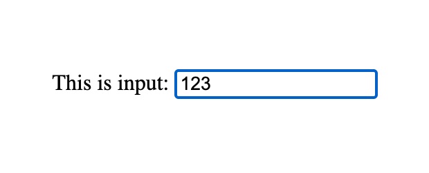 input outline 示例